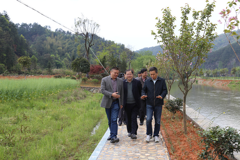 集團公司領(lǐng)導(dǎo)赴龍游羅家鄉(xiāng)走訪了解扶貧共建項目進展情況