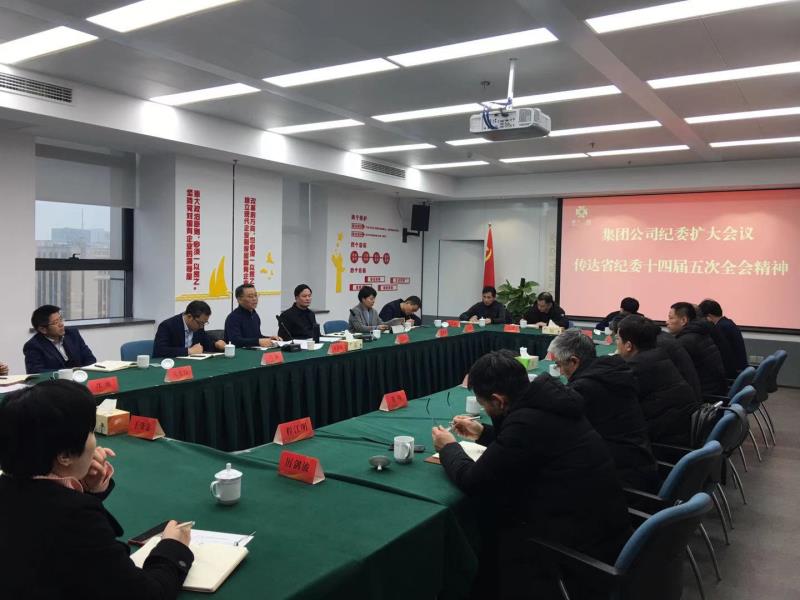 集團(tuán)公司紀(jì)委召開全體（擴(kuò)大）會(huì)議學(xué)習(xí)傳達(dá)中央紀(jì)委和省紀(jì)委全會(huì)精神